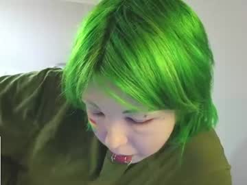 littlekittensta